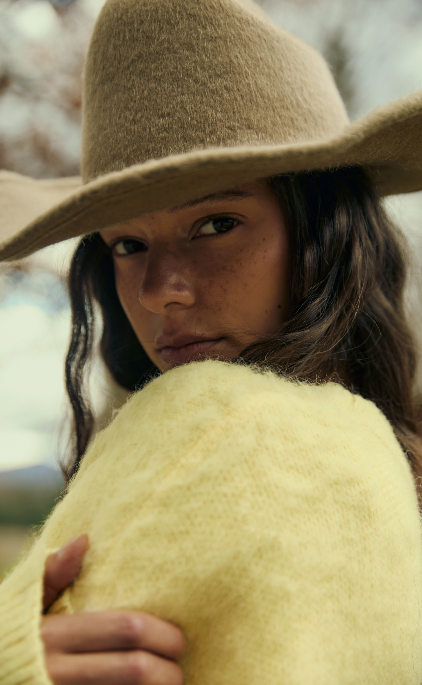 Knit sweater - Custard Butter