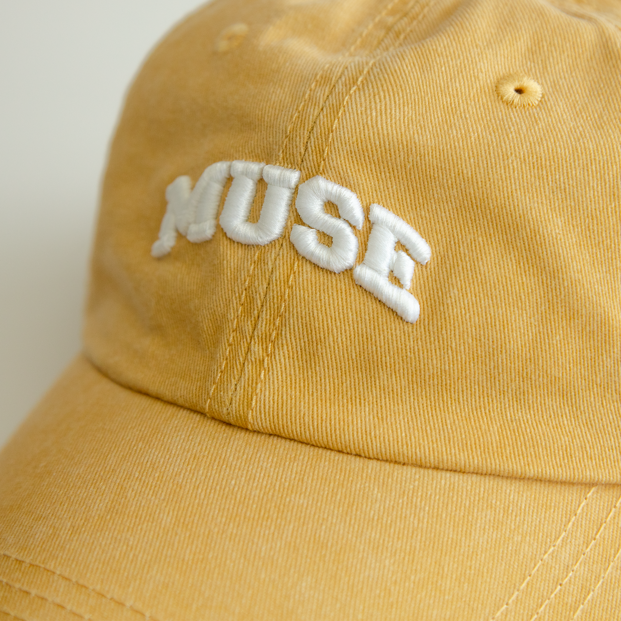 Dad Hat - Yellowstone